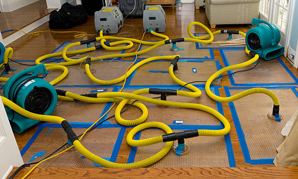 Professional Crawl Space Water Removal technician working in Sanborn, ND